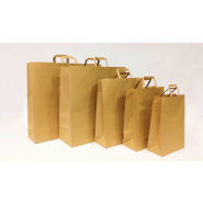100 sacs kraft à poignée plates ou torsadée, kraft havane - blanc ou couleur - SKFTPPMR-DN10_0