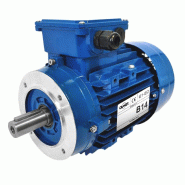 Moteur électrique Triphasé 230/triphasé 400v 0,75 Kw 3000 Tr/min  - Ms7132b14 Bride B14 - Bobinage Cuivre