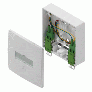 D.Center® Gf-TA 42, équipée en partie avec 2 connecteurs LCD/APC et de 4 pigtails LC/APC, prêt à être épissé