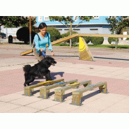 Saut en longueur edu can agility parcours canin  4 obstacles