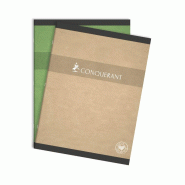 CONQUERANT Lot de 10 Cahier Recyclé carte piqué 24x32, 96p./48 feuilles 70g/m², Séyès, coloris assortis (4) - 3020120011165