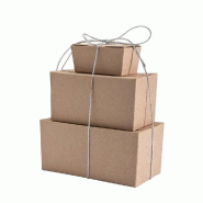 Mini ballotin kraft intérieur kraft 50g - 6,8x3,6x3,4cm - par 50 unités