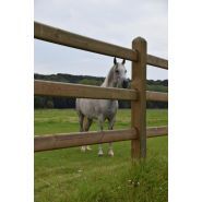 Square - clôture en bois pour chevaux - de sutter naturally - hauteur 1m20