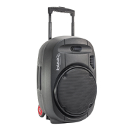 Sonorisation portable Ibiza Port 15 UHF MK2 "TWS" Sonorisation portable Ibiza Port 15 UHF MK2 "TWS"
