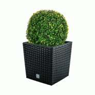 WellHome - Pot 32 L Rato coloris anthracite avec boule de buis 36cm - marron plastique PK3923