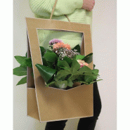 Sac kraft naturel 23x14x38cm - par 5