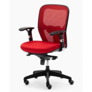 Fauteuil BATZ Résille Couleur avec Soutien Lombaire - Référence 6392 FR206