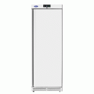 Armoire réfrigérée positive 1 porte pleine 380 l - PEBF38RW