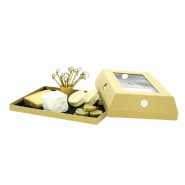Cloche à fromages carton kraft avec fenêtre 30,5x20,5x6,8cm - par 20