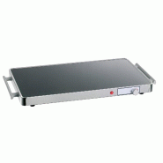 Plaque chauffante GN1/1 L2G