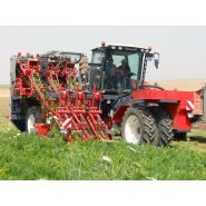 Arracheuse par préhension ZKIIISE - Dewulf BV - productivité 4 à 5 ha/j - largeur 4127 mm - 3 rangs avec tapis à tétines_1