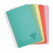 Clairefontaine Lot de 10 Carnet Linicolor Essence 9x14, 100p./50 feuilles 90 g/m² reliure intégrale, couv. Polypro assortis, quadrillé 5x5 - 332968