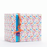 Papier cadeau flèches multicolores en 0.70x50 m