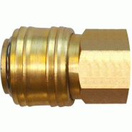 Raccord rapide pour compresseur avec filetage 1/4' ig Raccord rapide pour compresseur avec filetage 1/4' ig