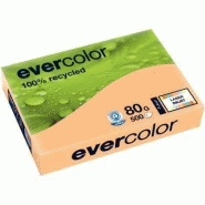 Ramette de 500 feuilles papier recyclé 80g format A4 EVERCOLOR Ramette de 500 feuilles papier recyclé 80g format A4 EVERCOLOR