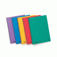 Clairefontaine Lot de 10 Cahier Europa Notemaker A4, 120p./60 feuilles détachables 90 g/m² reliure intégrale, quadrillé 5x5, coloris assortis (5)