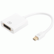 Câble adaptateur ASSMANN DisplayPort mini DP-DVI 0,15 m DP1.1a blanc - AK-340406-001-W_0