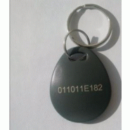 Porte-Clé Hitag2-FOB06-Num - Lot de 100 pièces - RFID 125KHz - NXP
