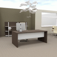 Bureau de direction T45 coloris Orme - Quadrifoglio - 200, Eucalyptus et blanc