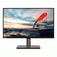 Lenovo ThinkVision P25i-30 écran plat de PC 62,2 cm (24.5