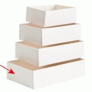 Caissette pâtissière en carton blanc 20x13x5cm - par 100 - Pratique pour le transport de pâtisseries
