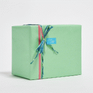 Papier cadeau kraft lisse vert d'eau 0,70 x 100 m