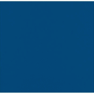Nvase ECOLOMIQUE - 40 Pcs - Serviette micro point bleue 2 plis - 38 x 38 cm - bleu papier NVS210SMP4040B