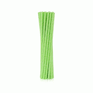 Godan 12 Paille en papier verte - RP-LS12