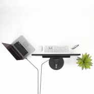 StarTech Cble Mini DisplayPort vers DisplayPort 1.2 de 2m