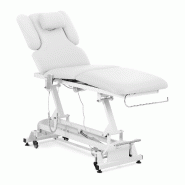 Helloshop26 - Table de massage professionnelle électrique lit de massage table de soin kiné 2 moteurs 200 kg blanc 14_0007753 - blanc métal 3001329