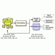 Système embarqué pour exploitation interactive des données de l'entreprise - Amadea