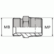 Adaptateur droit mâle BSP pour bague BS x mâle NPT - BMMBC00202 - MBSPCT1/8 / MNPT1/8