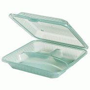 Contacto Plat à menu Eco-Takeout 23 x 23,5 x 6,5 cm, vert - vert plastique 1103/236