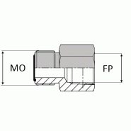 Adaptateur droit mâle ORFS 9/16 x femelle NPT 1/4 - OMFNPT0404