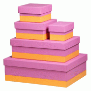 Set de 5 boîtes gigognes Rhodiarama, finition simili cuir italien, coloris lilas - violet 318981C