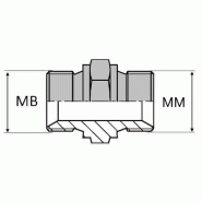 Adaptateur droit mâle BSP x mâle DIN pour bague BS - 3/8' , 16.66 , 12X150