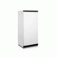 Congélateurs de stockage 461 litres armoire blanche avec porte pleine - PUF550