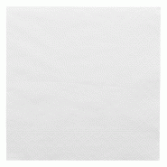Serviette écolabel 2 plis blanc ouate 33x33cm par 2400
