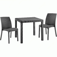 Ensemble de 2 chaises avec table carrée en rotin anthracite - noir plastique polypropylène 8050054388427