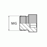 Bouchon mâle gaz cylindrique 6 pans creux pour bague BS (DIN 908) - 1/4' , 13.15
