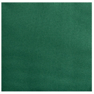 Pronappe - Réf.SV623807I - Carton de 1200 Serviettes ouate 2 plis - papier micro gaufré - 38 X 38 cm - 30 paquets de 40 serviettes Vert sapin - vert