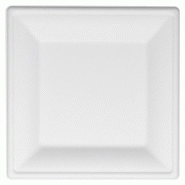 Thouy 50 Assiettes carrées en fibres végétales 26 x 26 cm - 3342690134151 Thouy 50 Assiettes carrées en fibres végétales 26 x 26 cm - 3342690134151