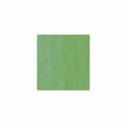 Serviette jetable verte kiwi 2 plis 40x40 cm - 100 pièces - Ecobioshopping - 0605848433074