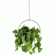 Jardinière déco ronde d'intérieur en métal noir A suspendre Esschert Design - noir 8714982205422 Jardinière déco ronde d'intérieur en métal noir A suspendre Esschert Design - noir 8714982205422