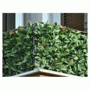 Haie photinia 3d Haie photinia 3d