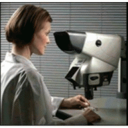Microscope stereo optique professionnel lynx evo Microscope stereo optique professionnel lynx evo