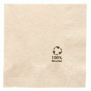 Serviette écolabel 2 plis en ouate recyclée naturel 25x25cm par 4800