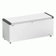 Congélateur coffre professionnel à couvercle battant Blanc - 542 L | Liebherr - EFL6055