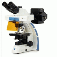 Euromex oxion fluorescence mercure