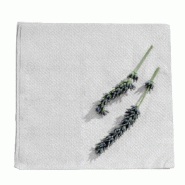 Nvase ECOLOMIQUE - 100 Pcs - Serviette ouate blanche 2 plis 300 x 300 mm - blanc papier NVS210S30302P